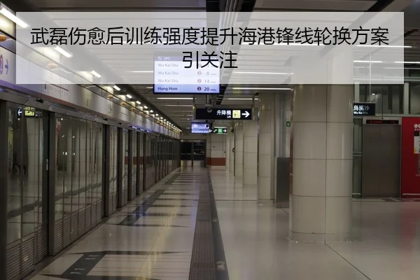 武磊伤愈后训练强度提升海港锋线轮换方案引关注